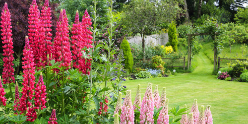 Classic Country Garden.